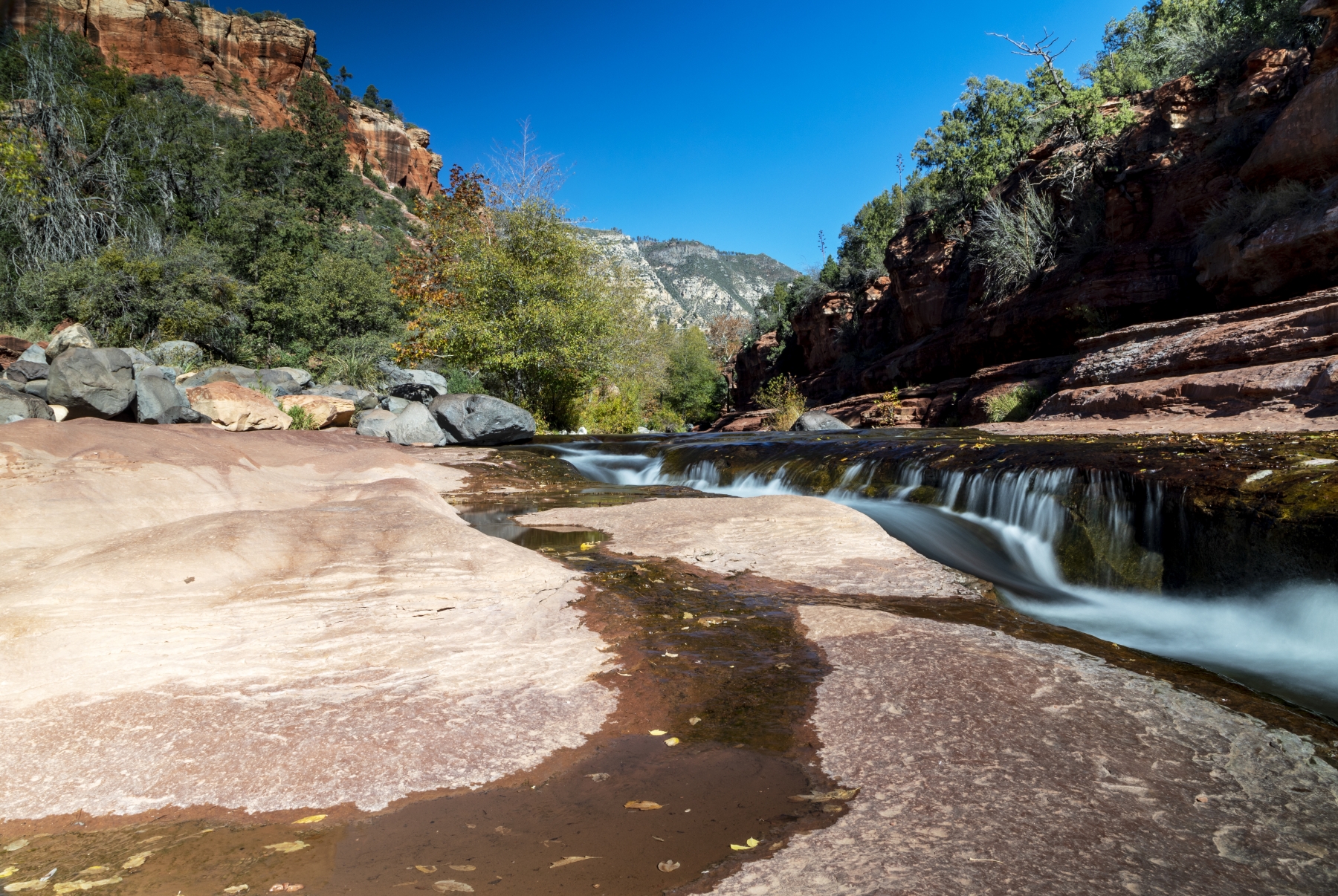 /gallery/north_america/USA/Arizona/slide rock/Slide Rock Canyon Nov 2021-004_med.jpg